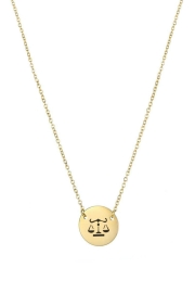 Ketting Sterrenbeeld RVS